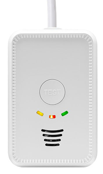 Carbest 802180 – détecteur gaz GPL et CO 12 V 2-en-1