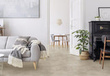 Gerflor Texline Nature Béton gris beige - sol vinyle van et fourgon